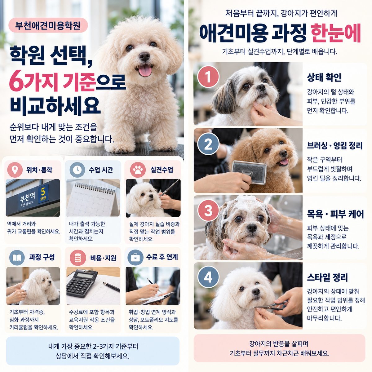 부천애견미용학원 선택 시 비교할 6가지 기준과 애견미용 과정 4단계