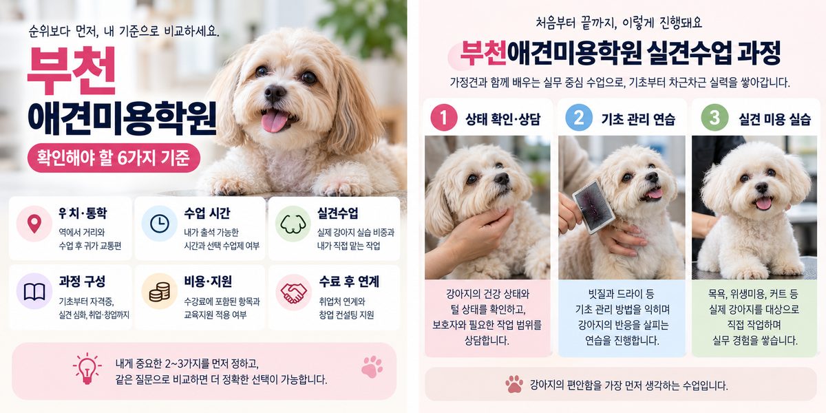 부천애견미용학원 실견수업 과정, 상태 확인·상담부터 기초 관리 연습과 실견 미용 실습까지