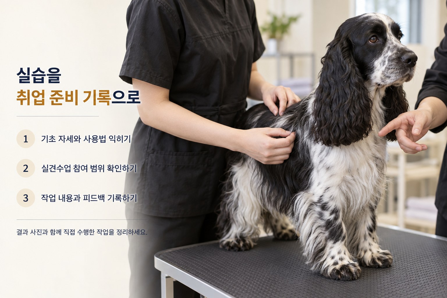 실견수업 참여 범위와 수행 작업·피드백 기록 안내
