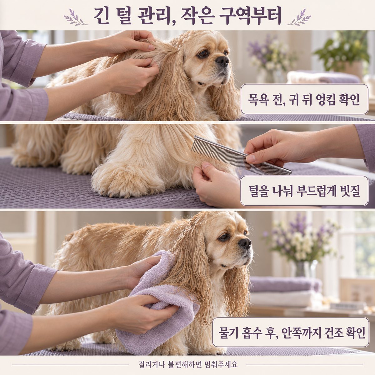 코카스파니엘 목욕 전 엉킴 확인·빗질·안쪽 건조 안내