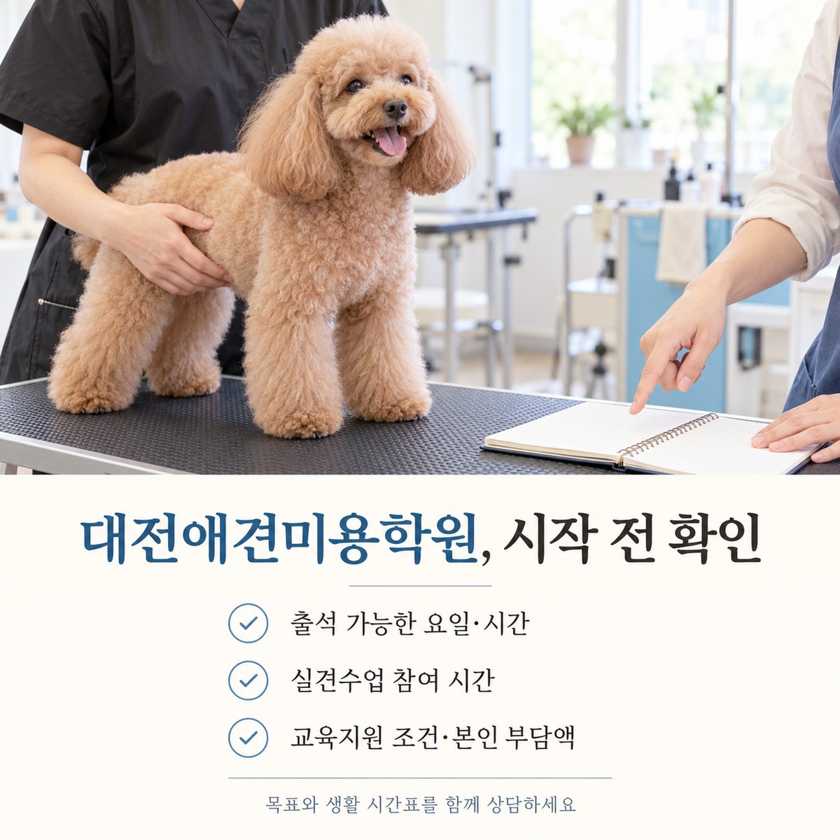 대전애견미용학원 시작 전 확인할 출석 요일·실견수업 시간·교육지원 조건 체크리스트