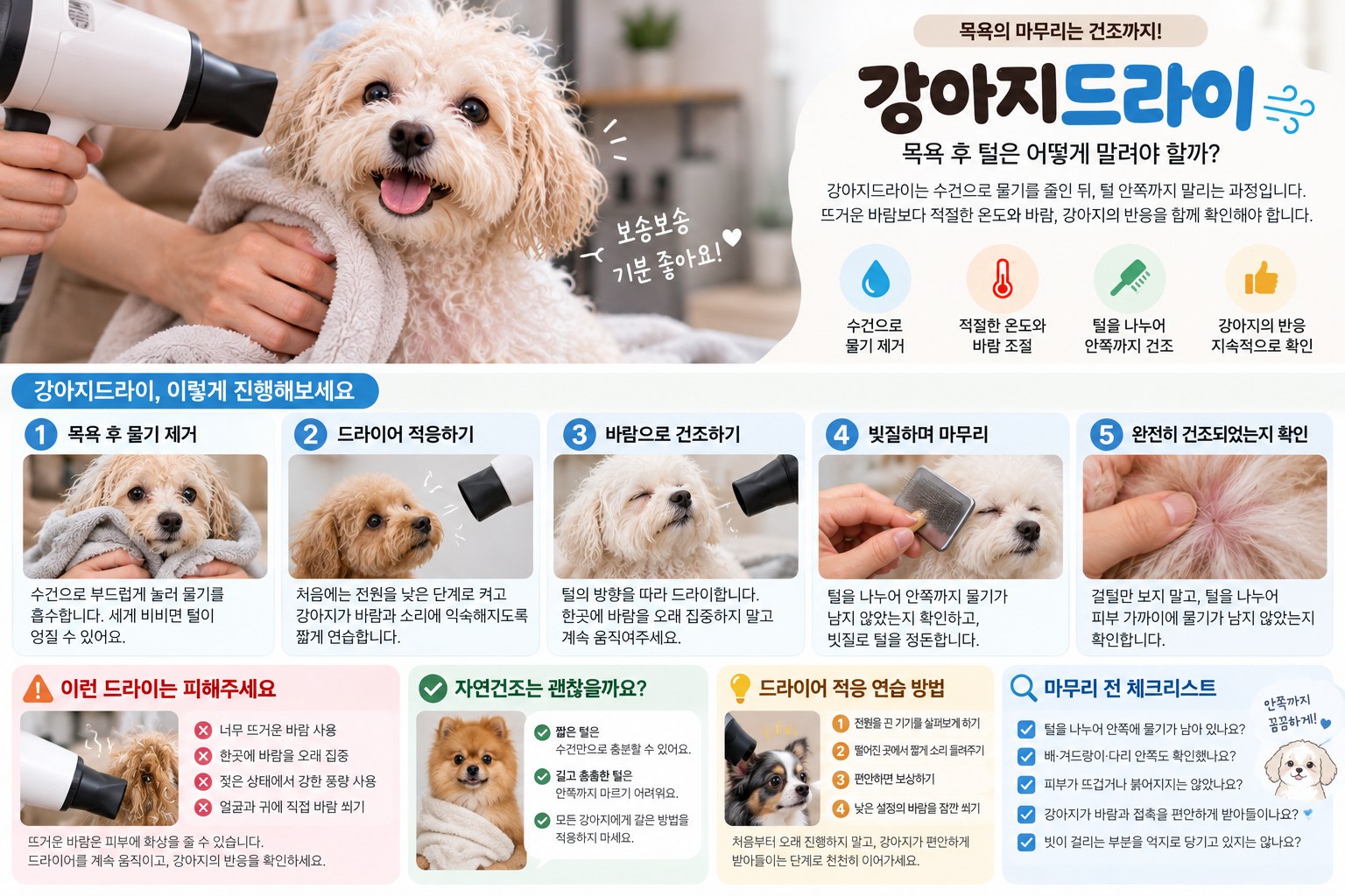 강아지드라이 단계별 진행과 피해야 할 방법, 마무리 체크리스트