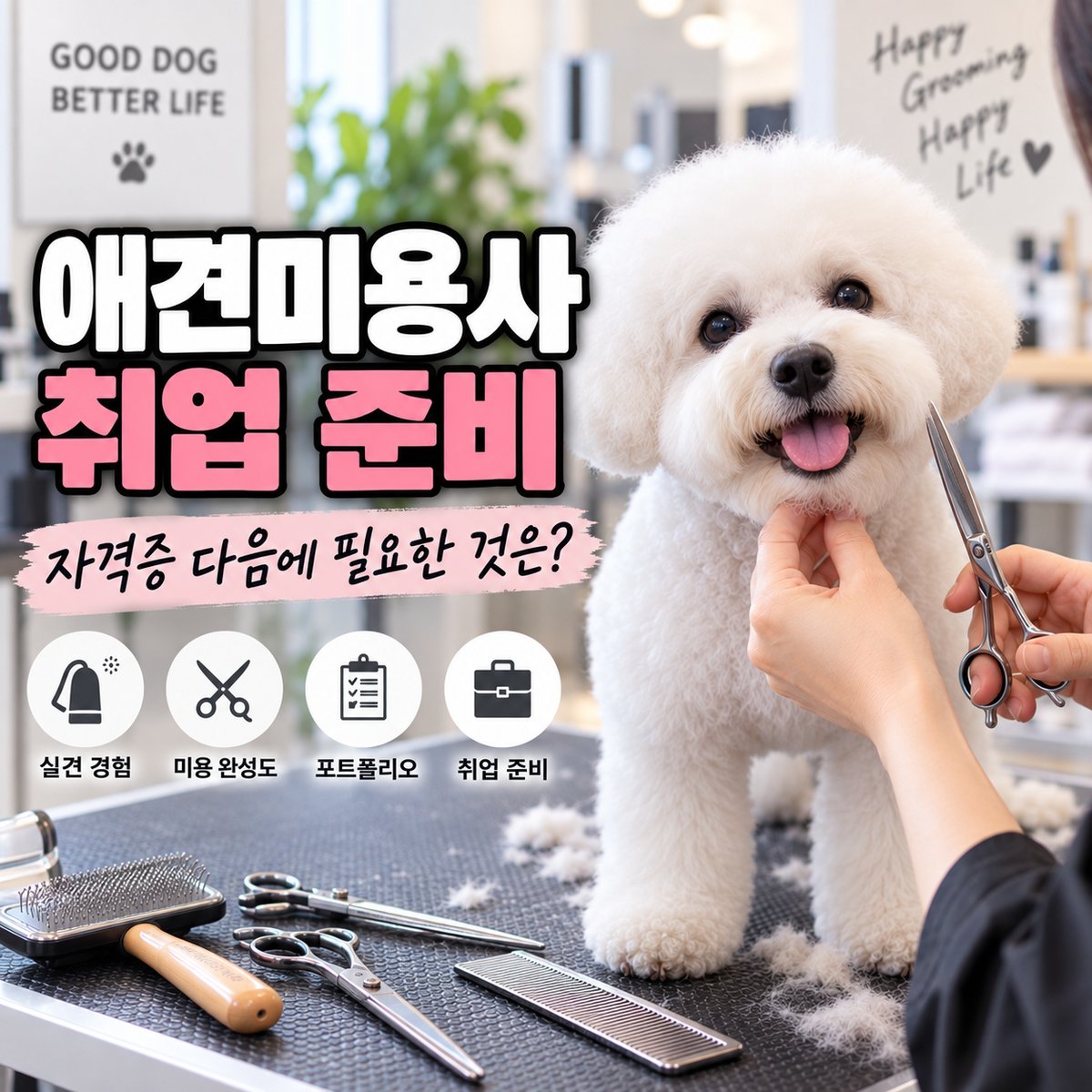 애견미용사 취업 준비, 자격증 다음에 필요한 것은? 타이틀 이미지