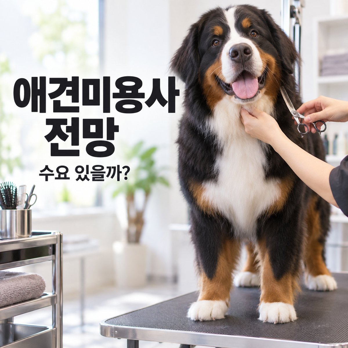 애견미용사 전망, 앞으로도 수요가 있을까? 타이틀 이미지