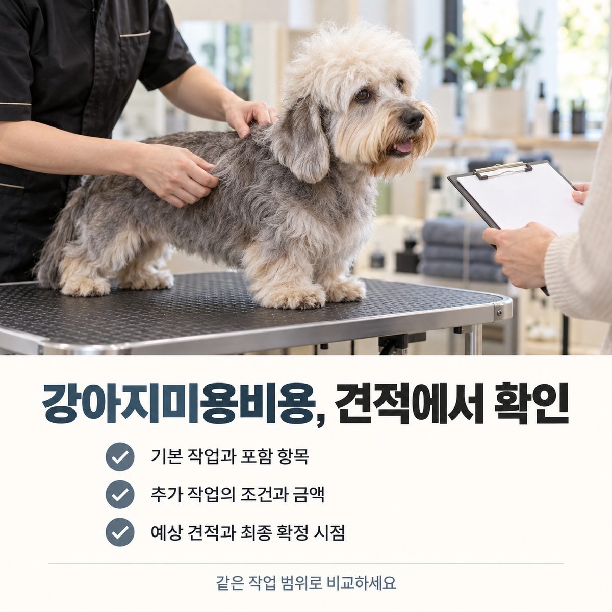 강아지미용비용 견적에서 기본 포함 항목과 추가 작업, 최종 확정 시점을 확인하는 안내