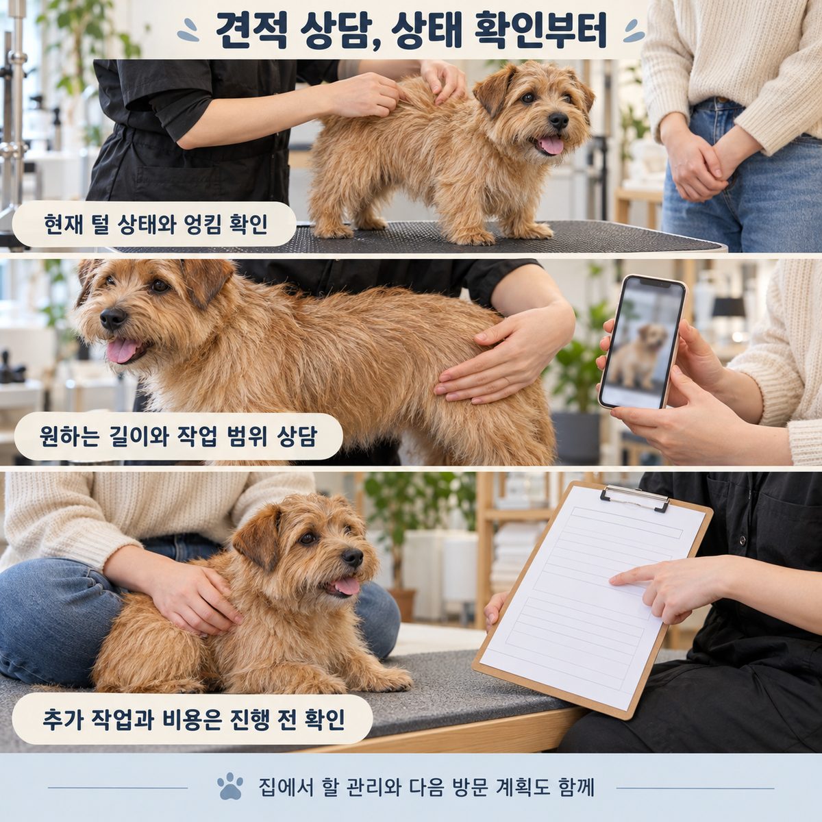 강아지의 털 상태 확인, 원하는 작업 상담, 추가 비용을 진행 전에 확인하는 과정