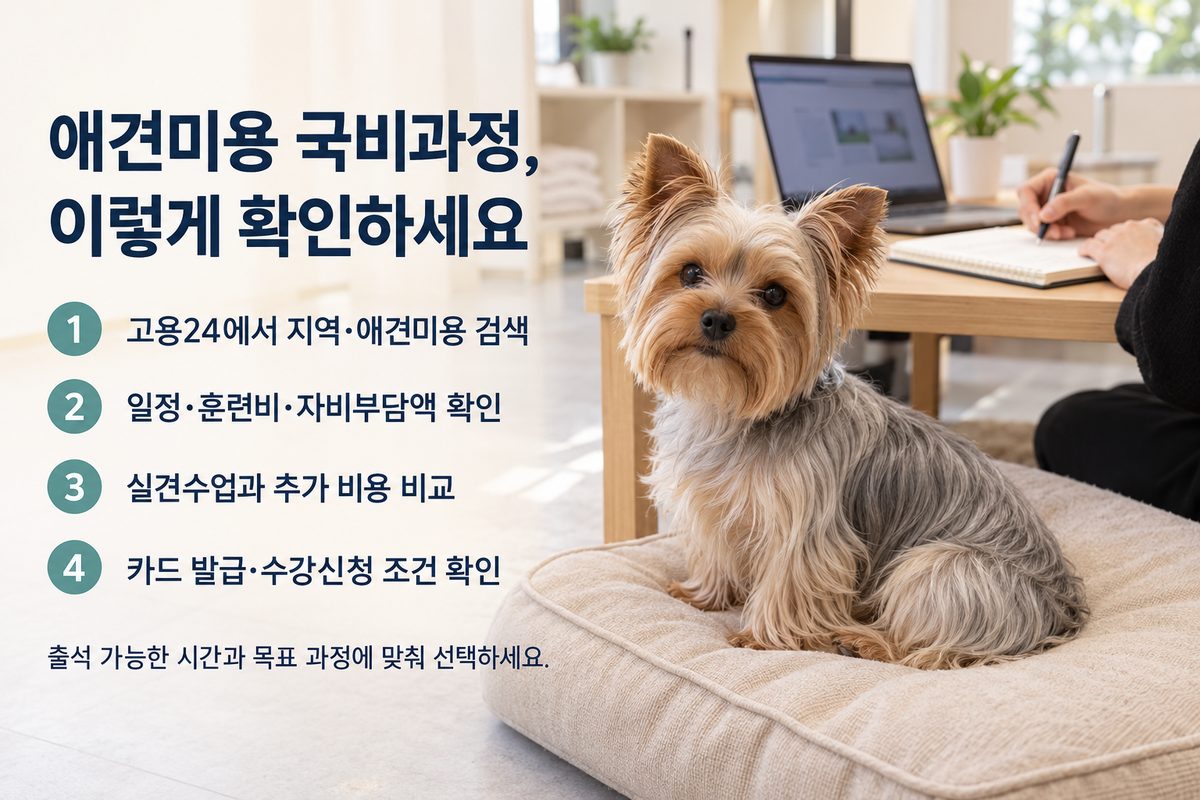 고용24에서 애견미용국비과정을 확인하는 4단계 안내