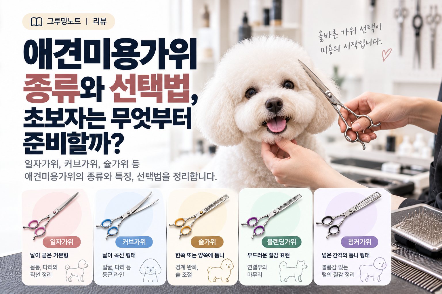 애견미용가위 종류와 선택법을 소개하는 타이틀 이미지