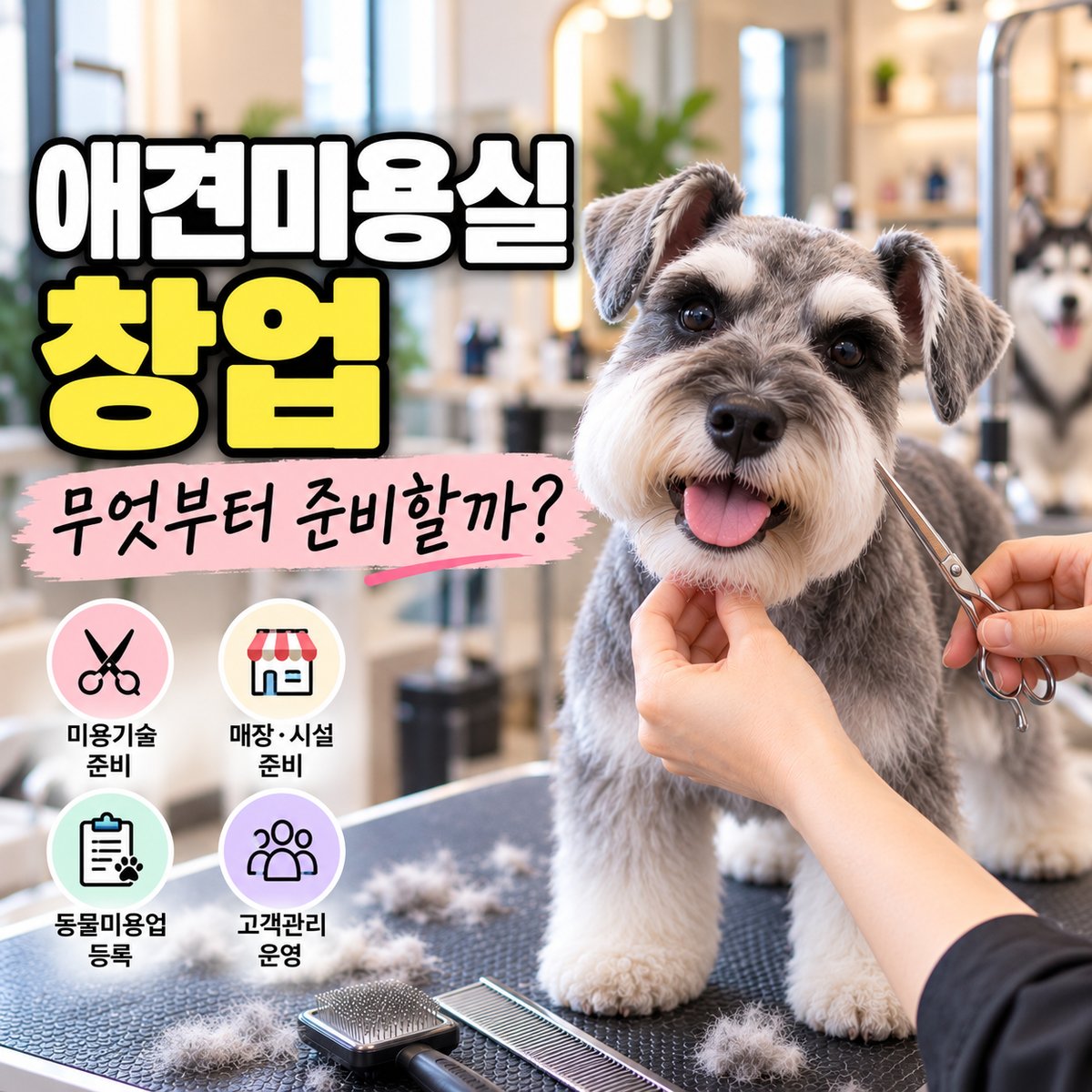 애견미용실 창업, 무엇부터 준비할까? 타이틀 이미지