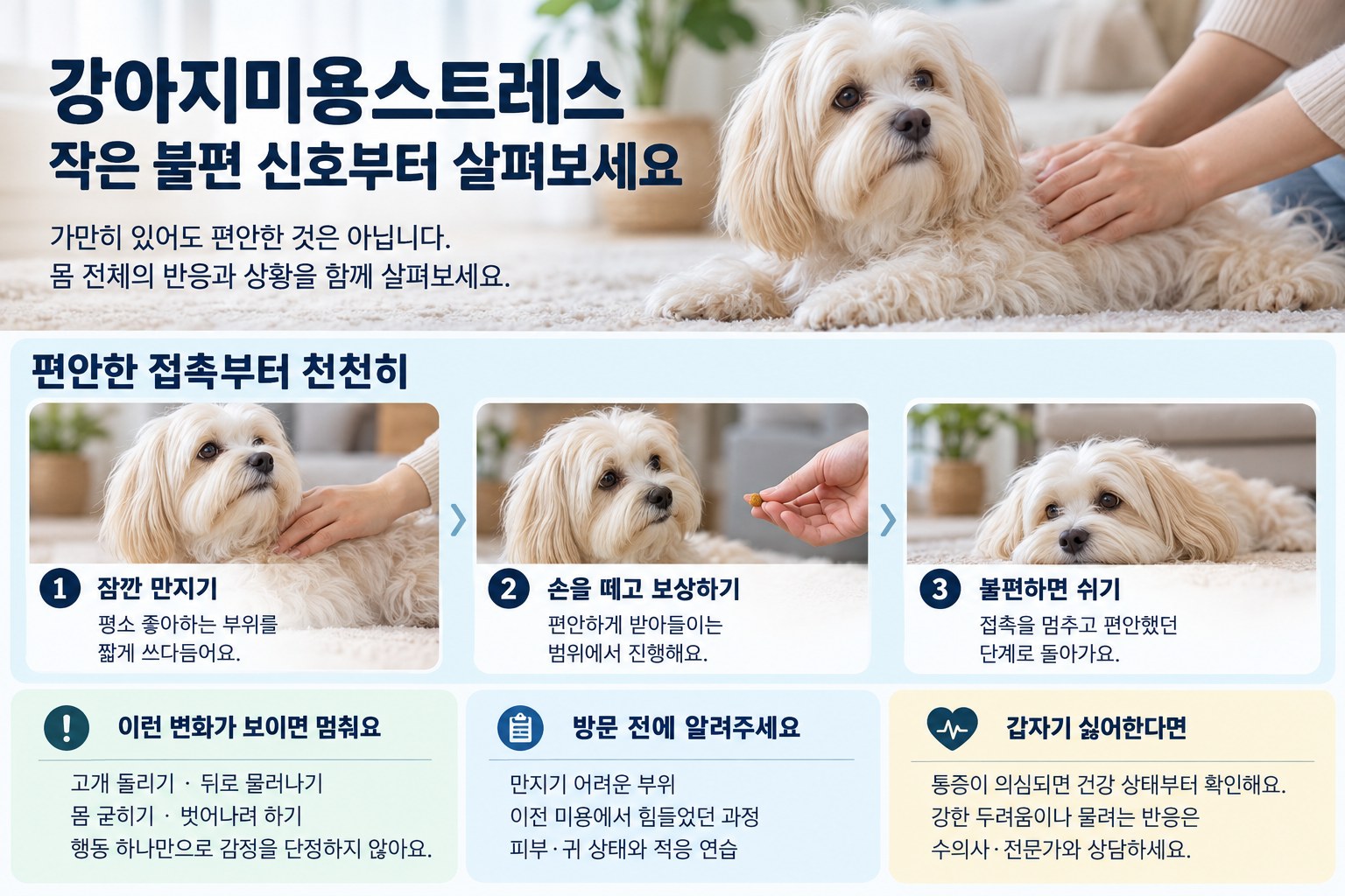 강아지의 작은 불편 신호와 접촉·보상·휴식, 미용 전 전달사항 안내