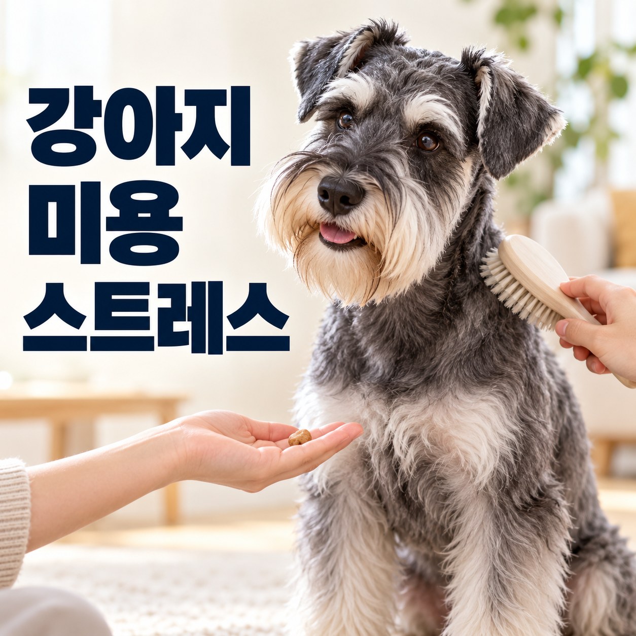 슈나우저의 브러싱 적응과 보상을 안내하는 강아지미용스트레스 썸네일