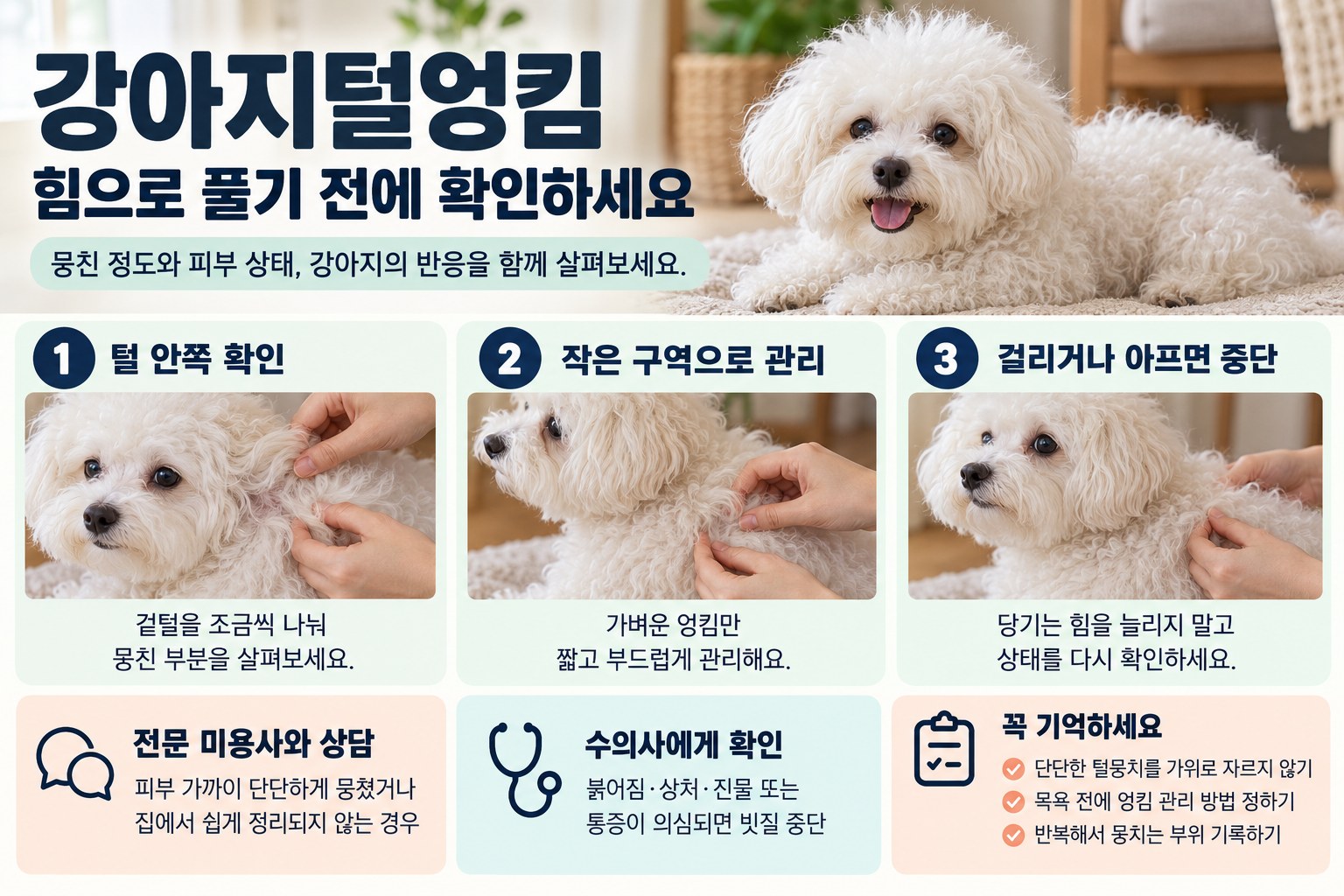 강아지 털 엉킴을 부드럽게 확인하는 방법