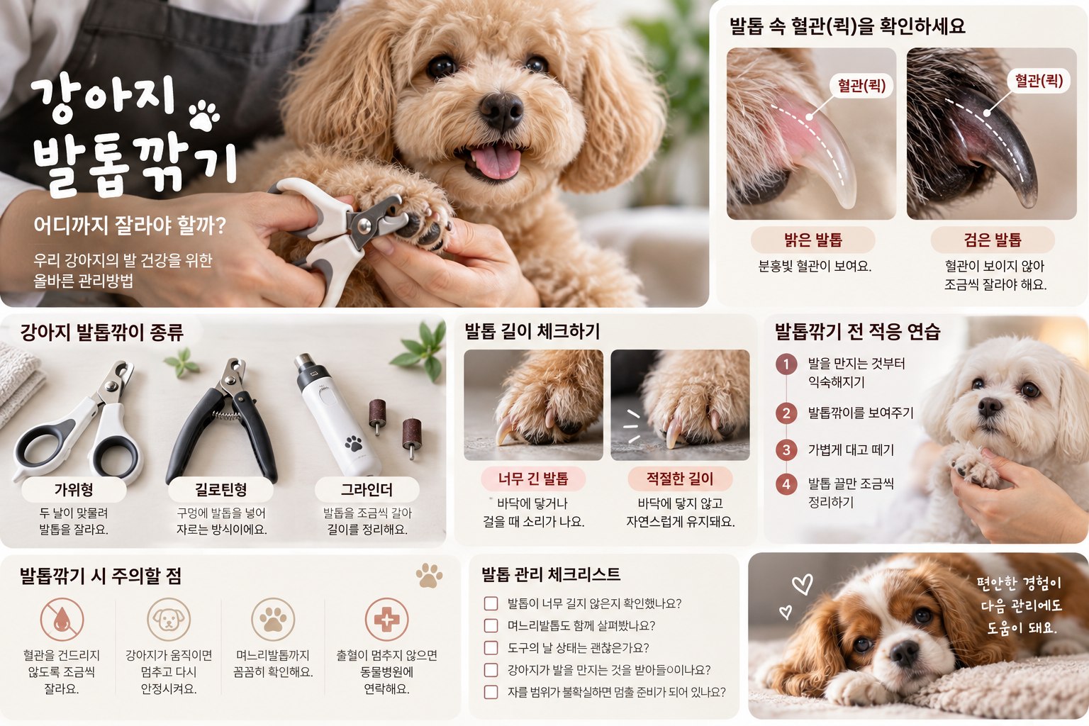 강아지발톱깎기 혈관 확인과 도구 종류, 발톱 길이와 적응 연습 안내 이미지