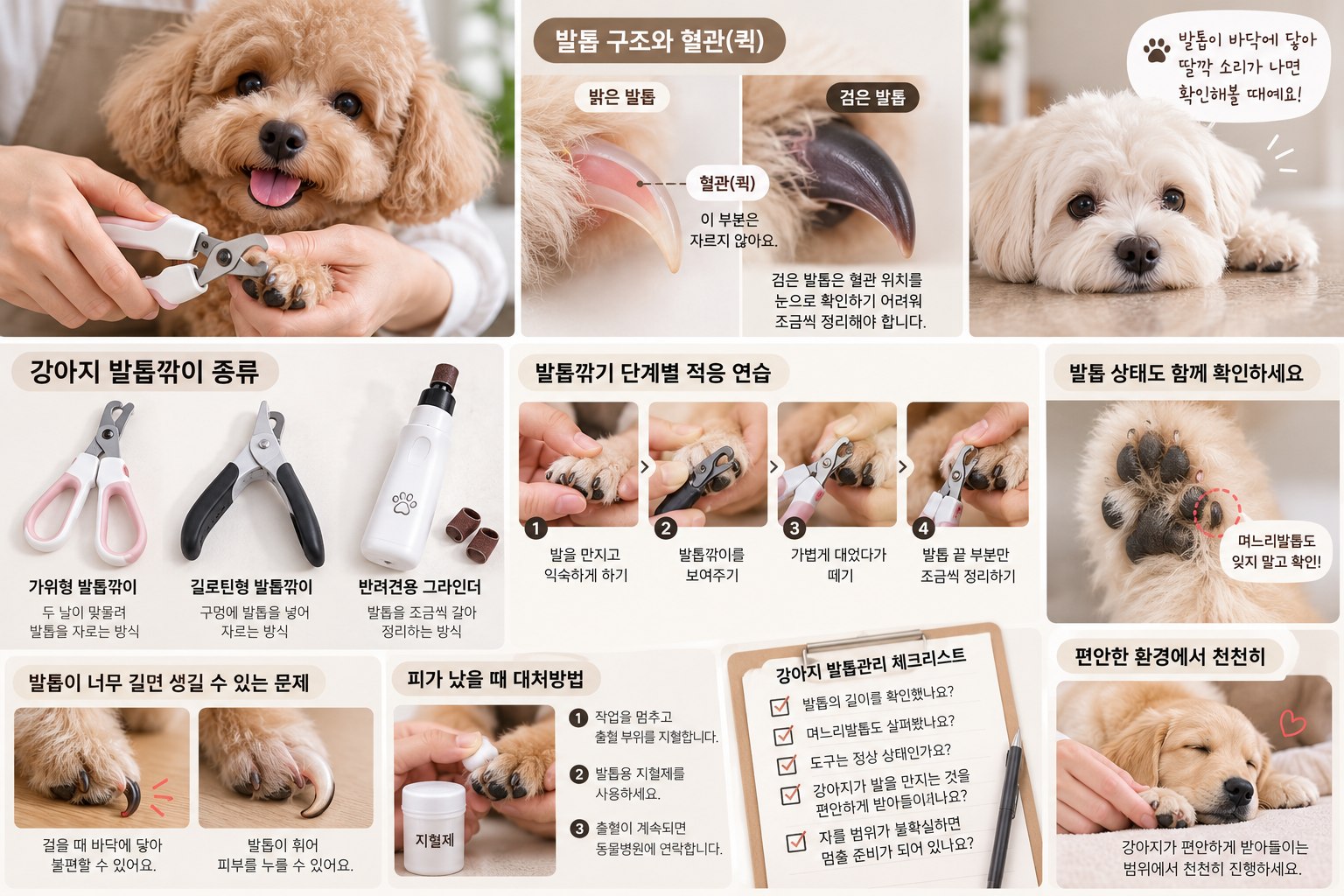 강아지발톱깎기 단계별 적응 연습과 발 상태, 출혈 대처 체크리스트 안내 이미지