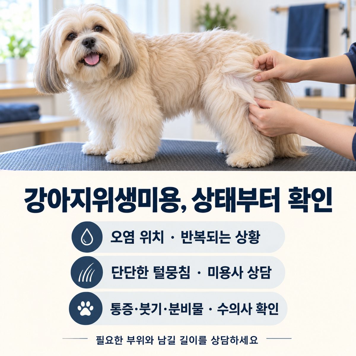 강아지 털 상태 점검과 오염 위치·털뭉침·피부 변화에 따른 상담 안내