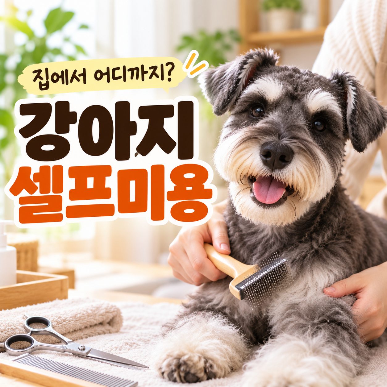 강아지셀프미용 집에서 어디까지 가능한지 안내하는 타이틀 이미지