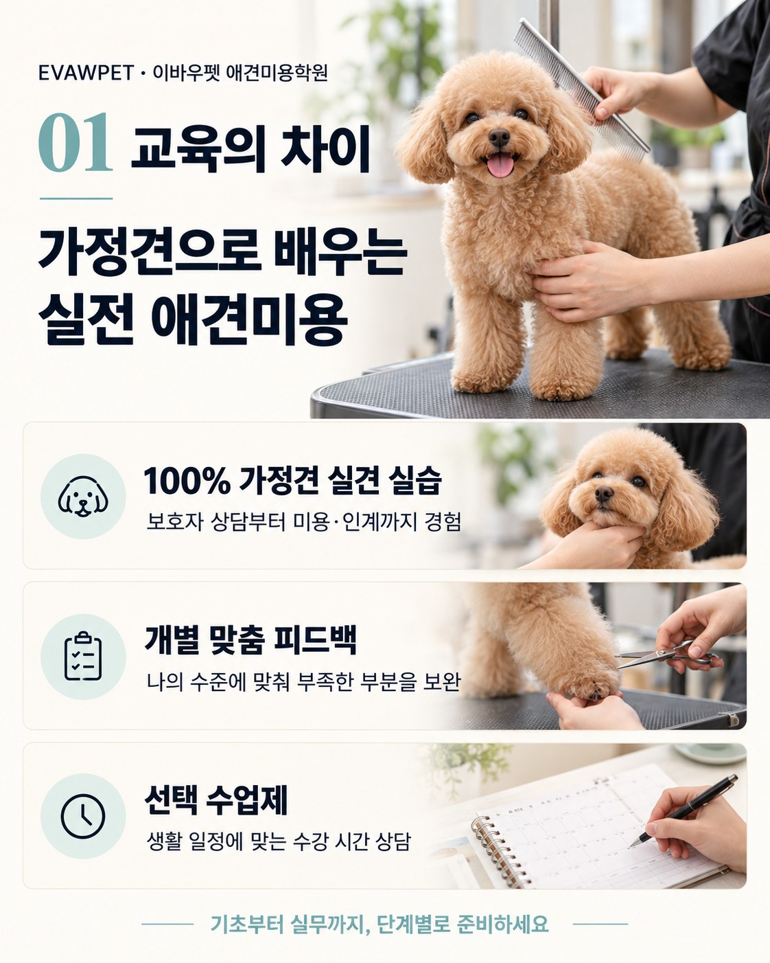 가정견 실견 실습, 개별 맞춤 피드백과 선택 수업제 안내