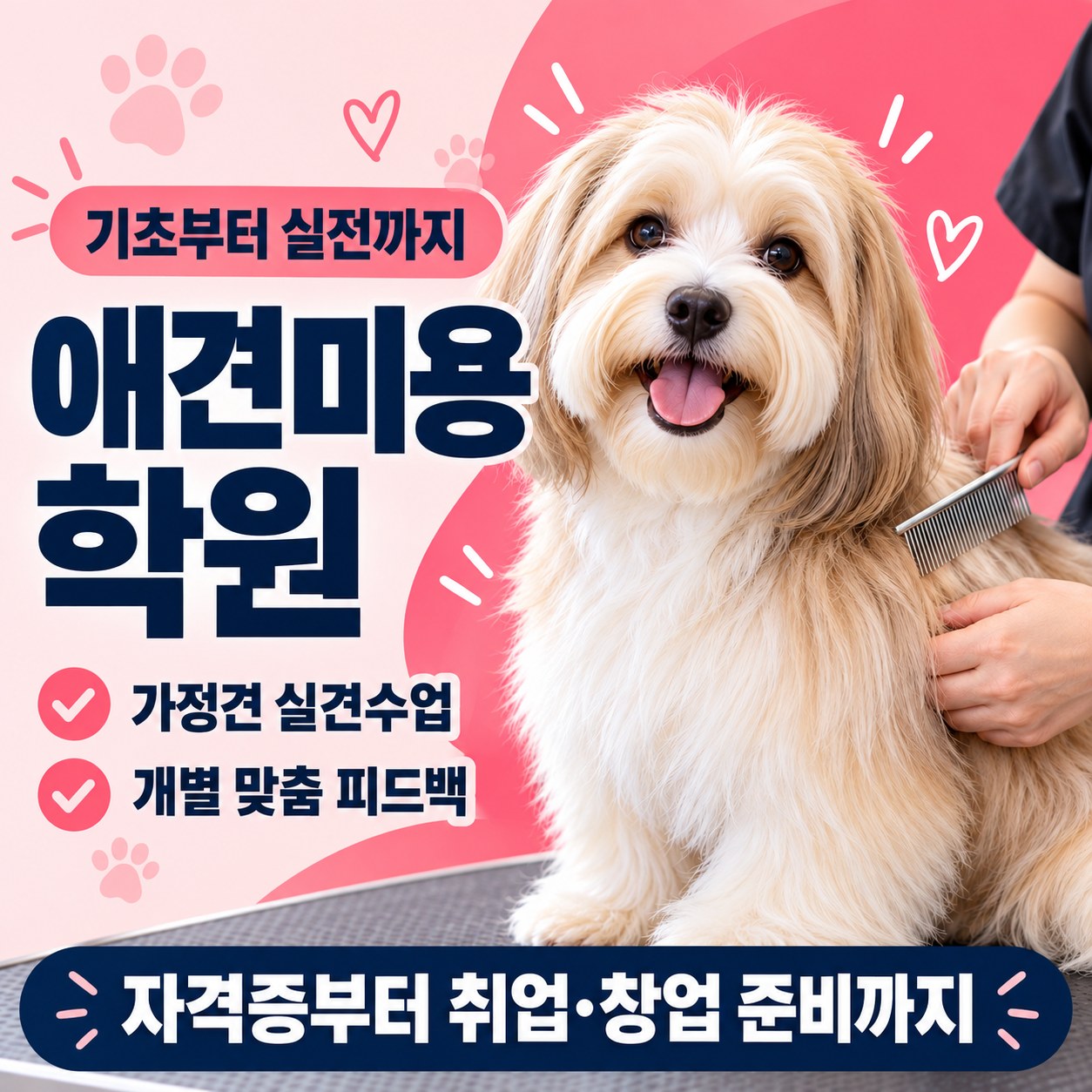 가정견 실견수업과 개별 피드백, 자격증부터 취업·창업 준비까지 안내