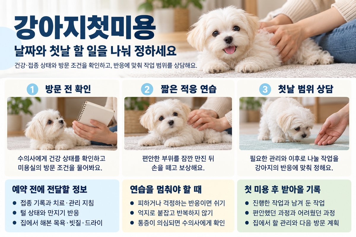 강아지첫미용 방문 전 준비와 첫날 작업 범위 체크리스트