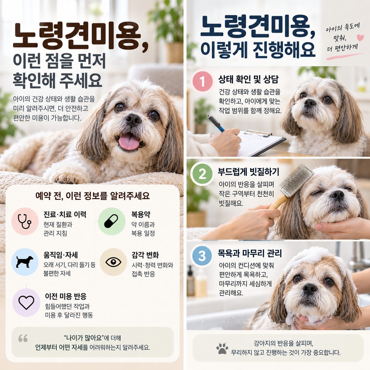 노령견미용 전 건강 정보 확인과 상담·빗질·목욕 안내