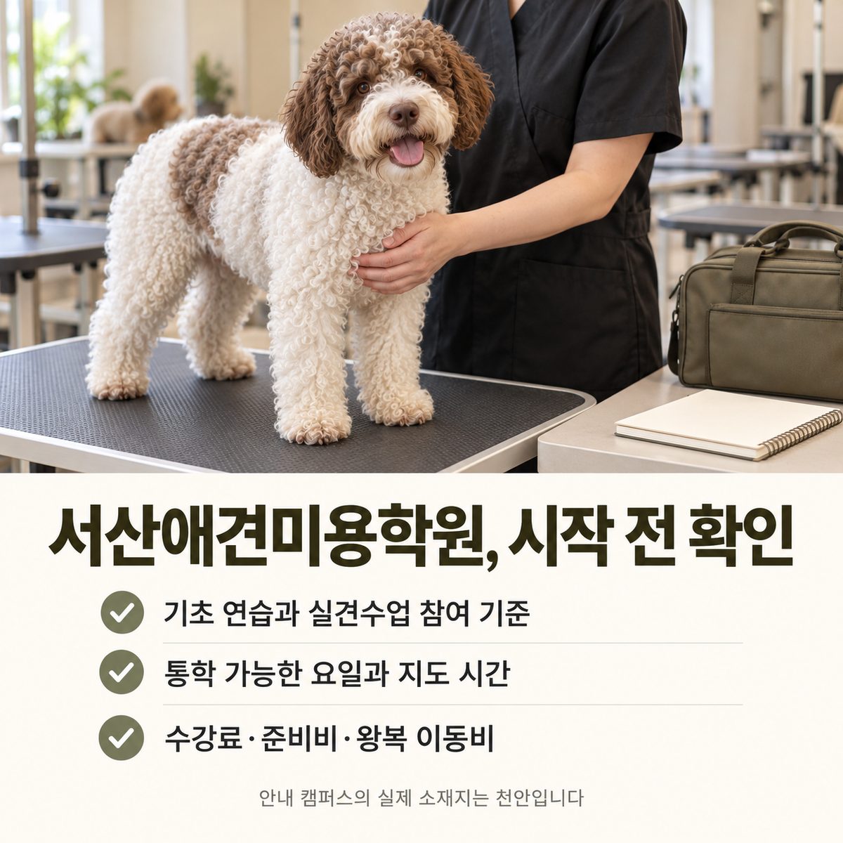 서산 출발 통학과 천안 소재지, 실견수업 참여 기준 안내