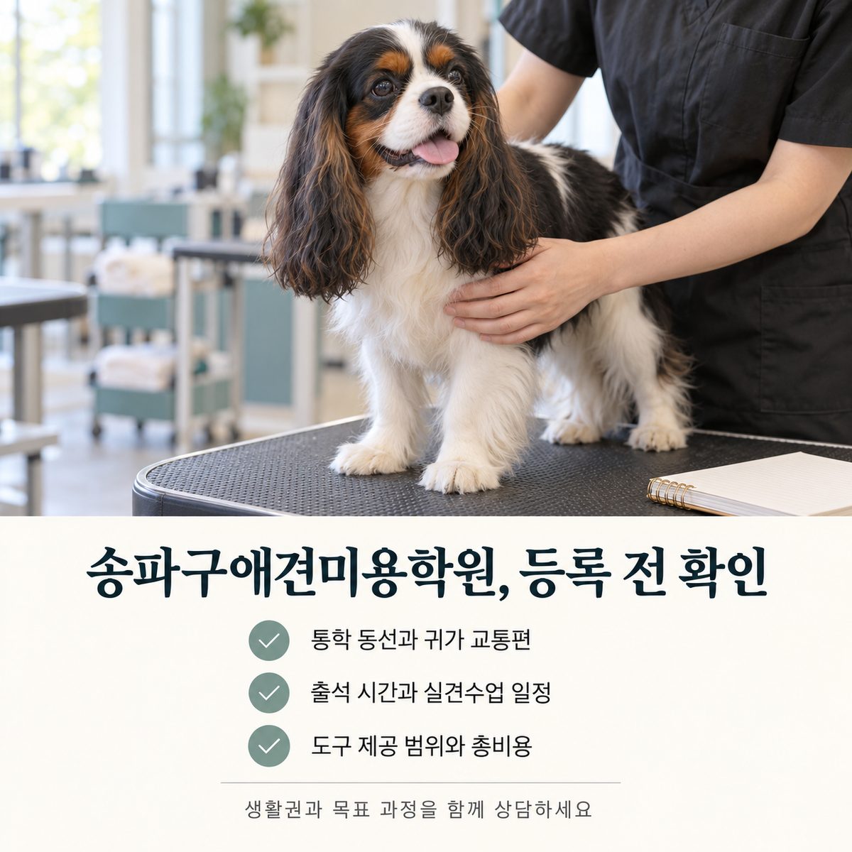 송파구애견미용학원 등록 전 확인할 통학 동선·출석 시간과 실견수업 일정·도구 제공 범위와 총비용